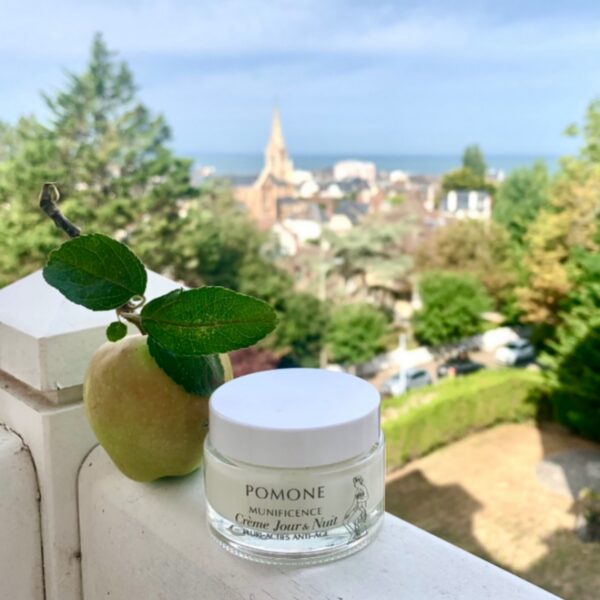 CRÈME JOUR et NUIT aux pluri-actifs de pomme – Image 3