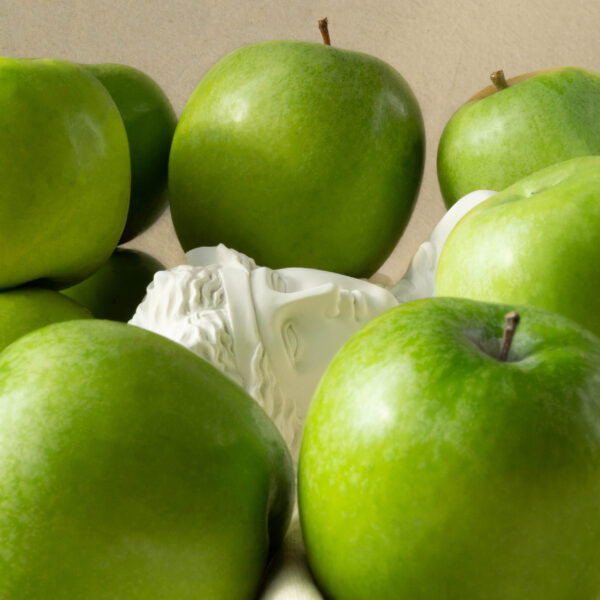 MASQUE CRÈME aux pluri-actifs de pomme – Image 5